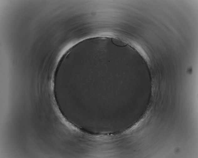 X0000101100944200807031747
