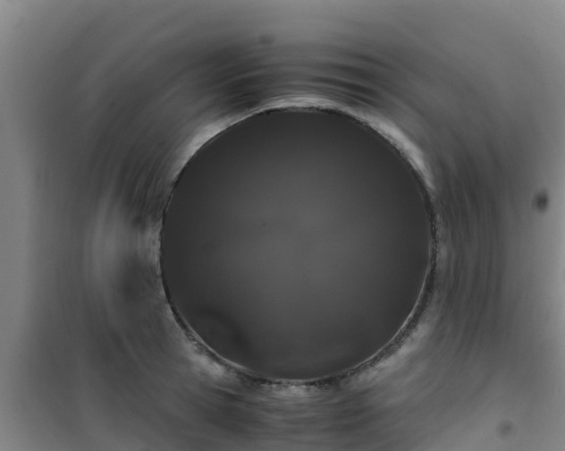 X0000101100945200807031747