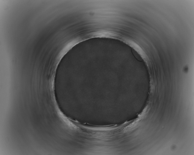 X0000101100946200807031747