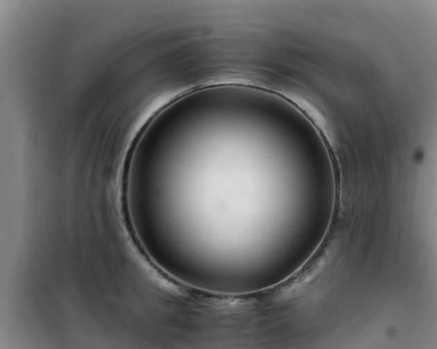X0000101100949200807031747