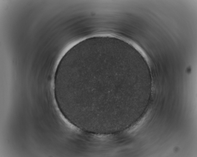 X0000101100951200807031747