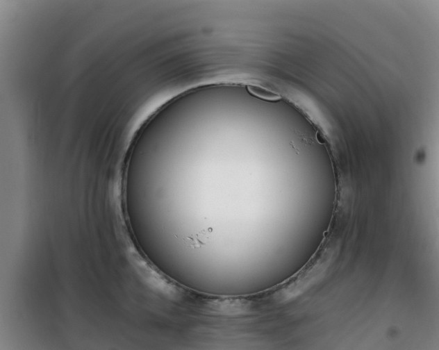 X0000101100952200807031747
