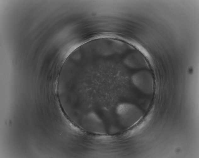 X0000101100953200807031747