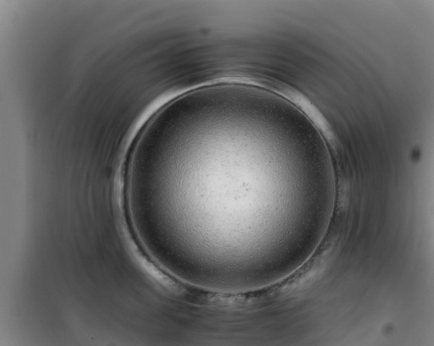 X0000101100955200807031747