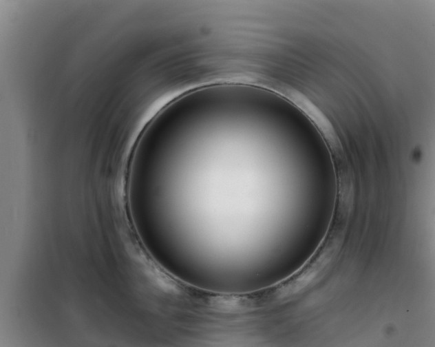X0000101100956200807031747