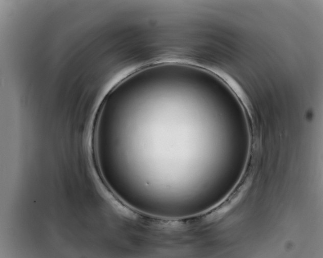 X0000101100957200807031747