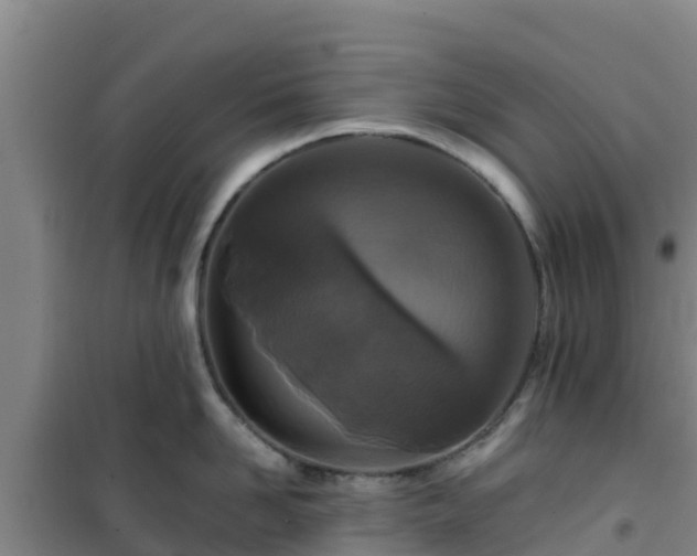 X0000101100958200807031747