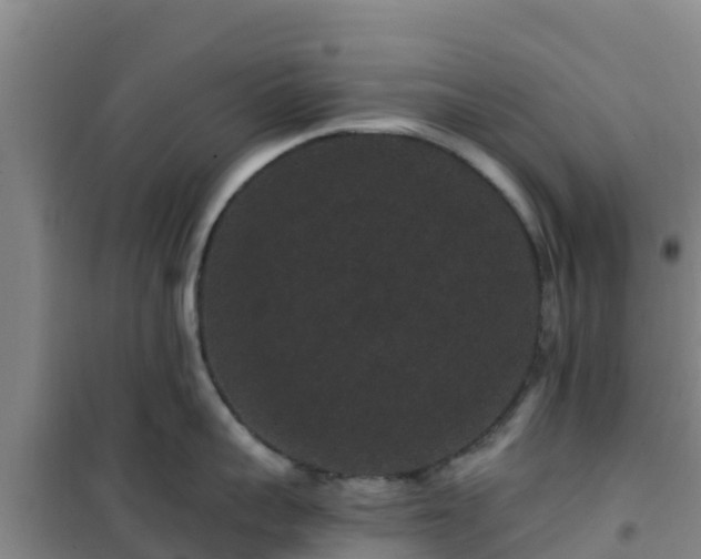 X0000101100959200807031747