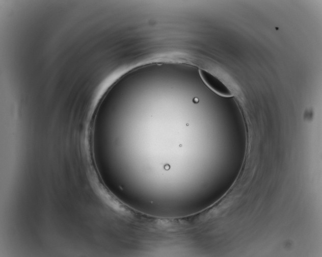 X0000101100960200807031747
