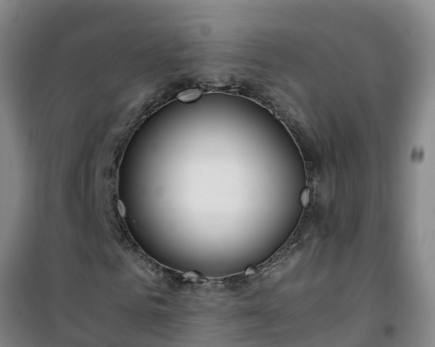 X0000101100961200807031746