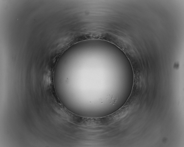 X0000101100962200807031746