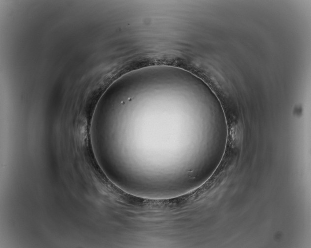 X0000101100963200807031746