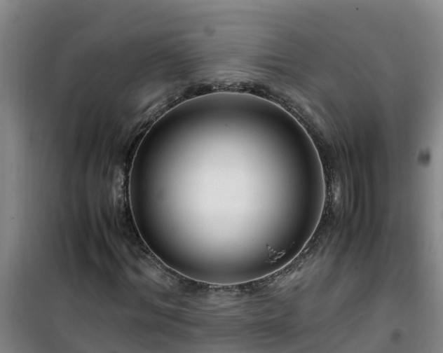 X0000101100964200807031746