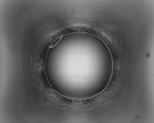 X0000101100965200807031746