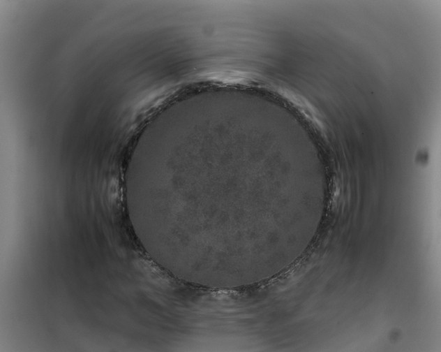 X0000101100966200807031746