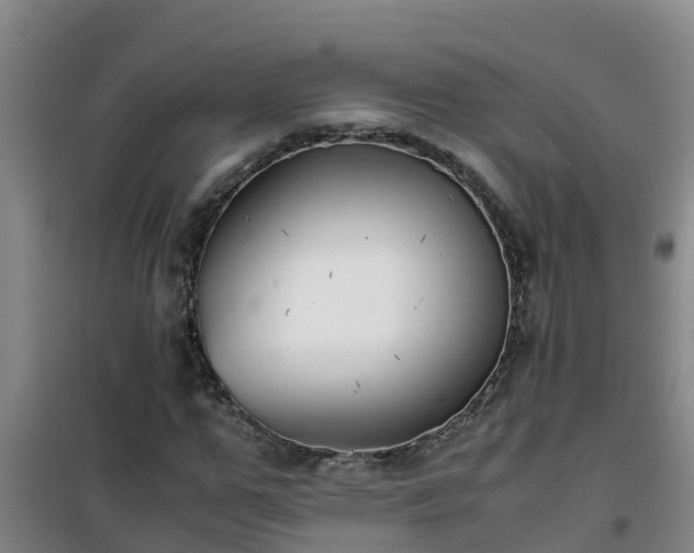 X0000101100967200807031746
