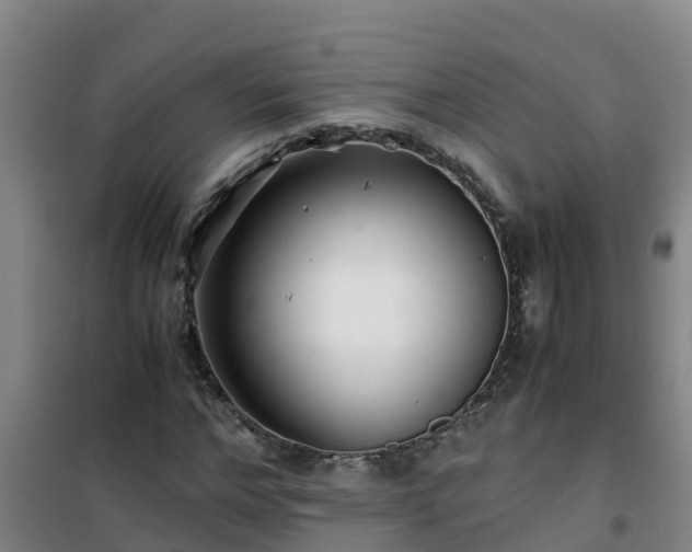 X0000101100968200807031746