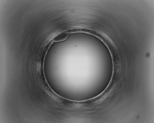 X0000101100969200807031746