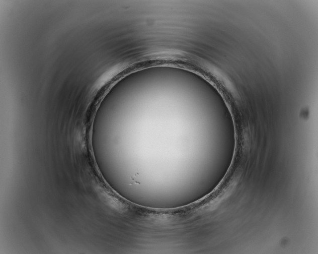 X0000101100970200807031746