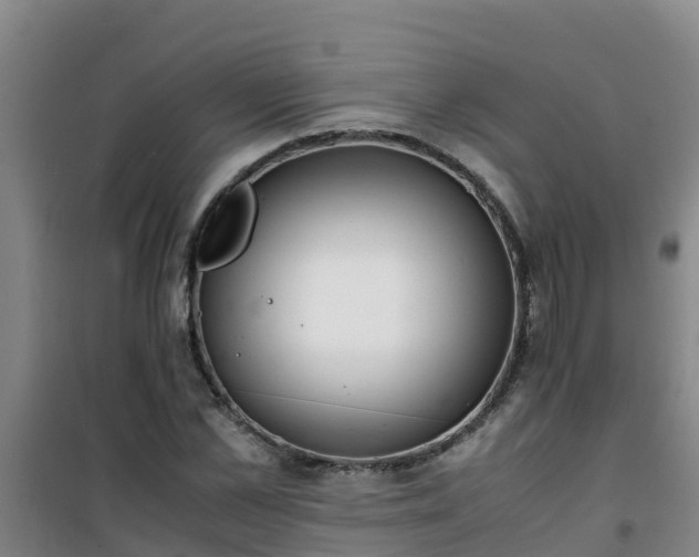 X0000101100973200807031746