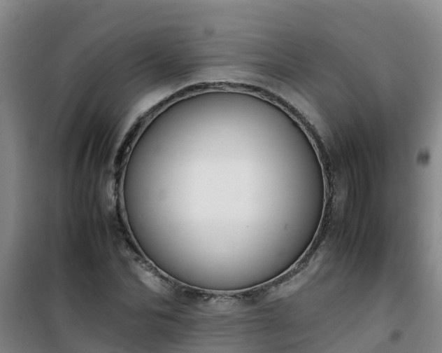 X0000101100974200807031746