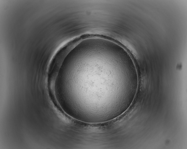 X0000101100976200807031746