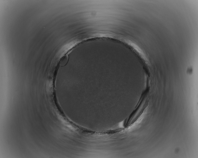 X0000101100977200807031746
