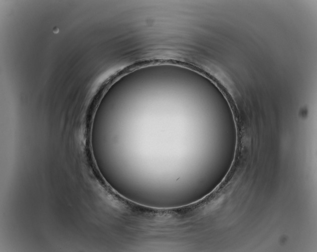 X0000101100979200807031746