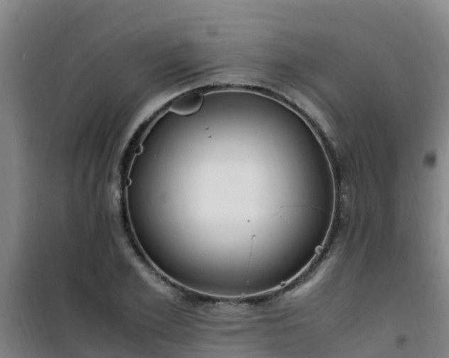 X0000101100981200807031746