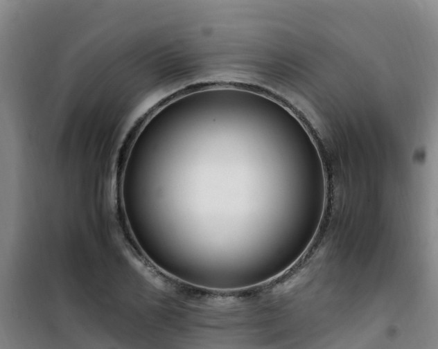 X0000101100982200807031746