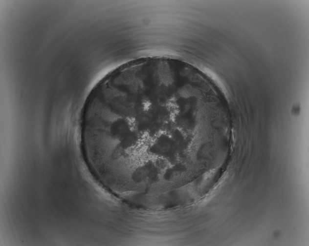 X0000101100983200807031746