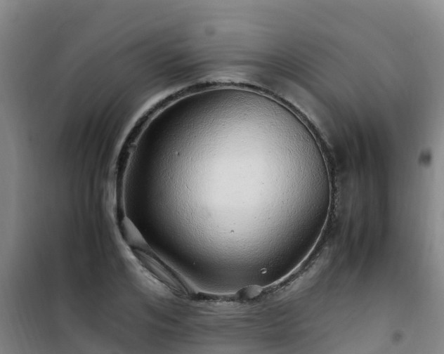 X0000101100984200807031746