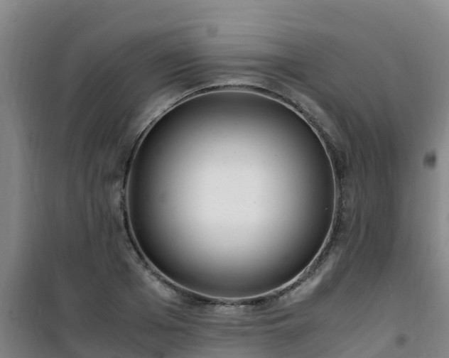 X0000101100985200807031746