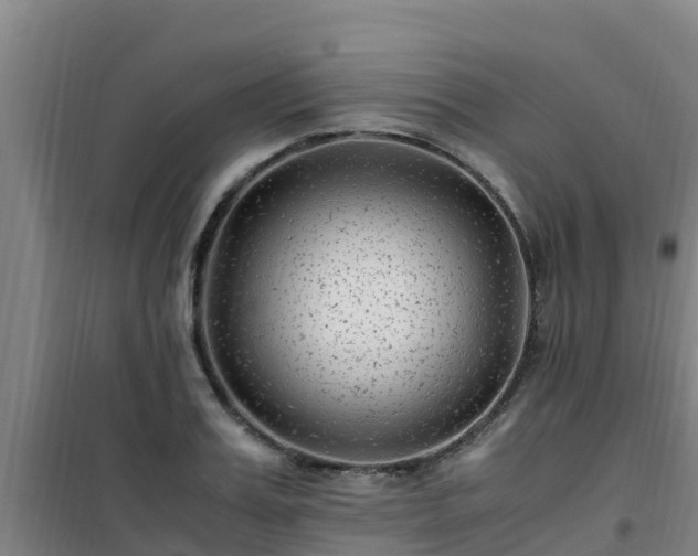 X0000101100987200807031746