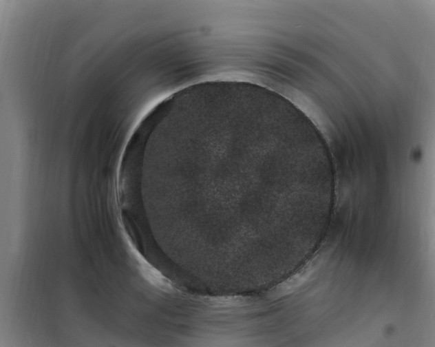 X0000101100988200807031746