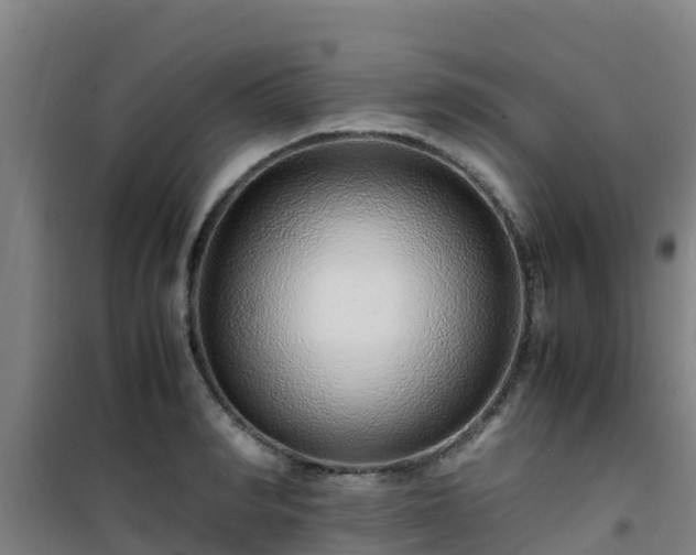 X0000101100990200807031746