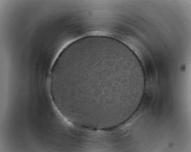 X0000101100992200807031746