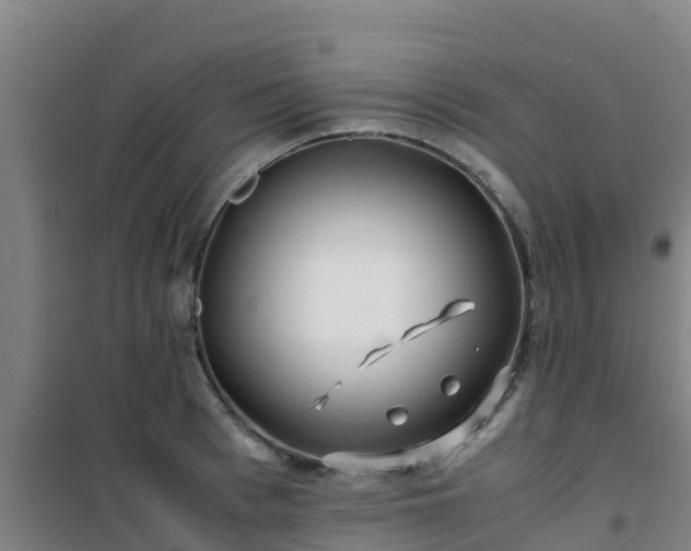 X0000101100993200807031746