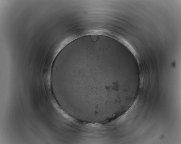 X0000101100994200807031746