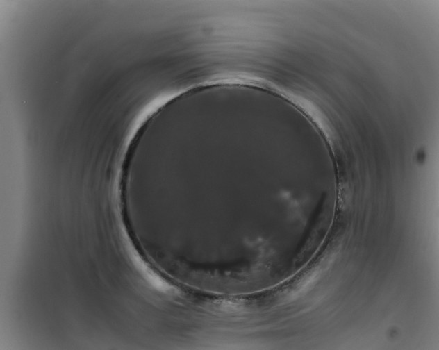 X0000101100995200807031746