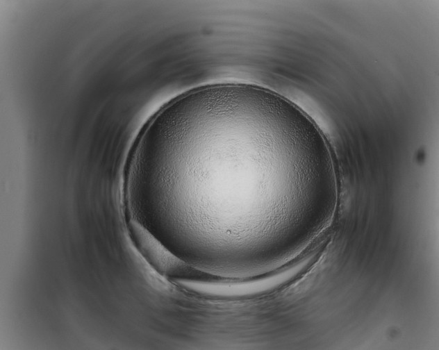X0000101100996200807031746