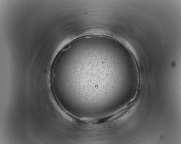 X0000101100997200807031746