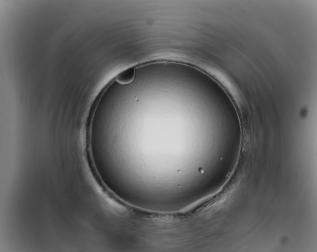 X0000101100999200807031746