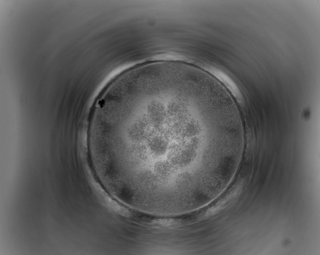 X0000101101000200807031746