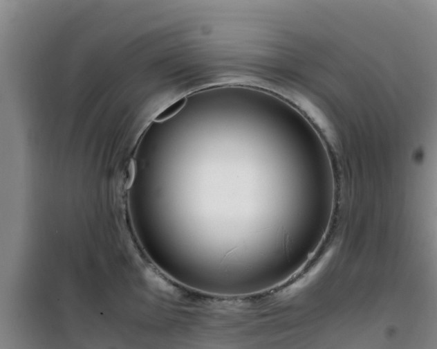 X0000101101001200807031746