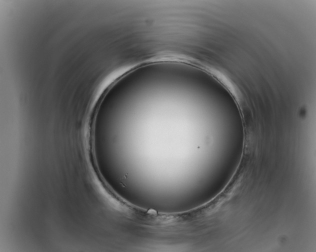 X0000101101003200807031746
