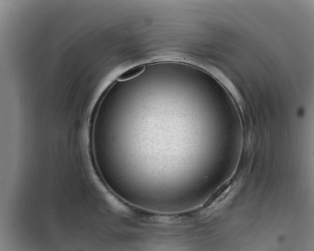 X0000101101005200807031746