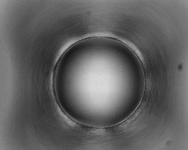 X0000101101006200807031746