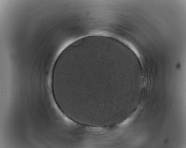 X0000101101007200807031746