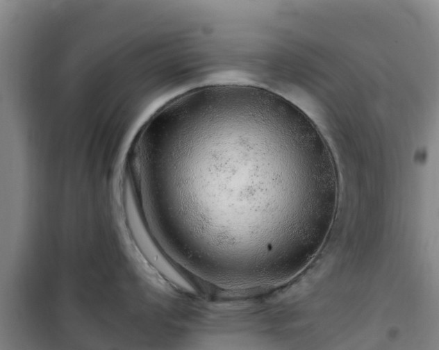 X0000101101008200807031746